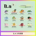 B.A 5代主機煙彈電子煙一盒三顆