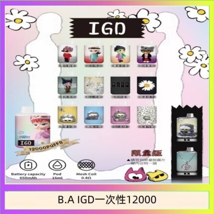 B.A IGD12000口 電子煙